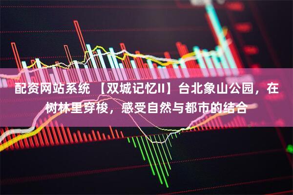 配资网站系统 【双城记忆II】台北象山公园，在树林里穿梭，感受自然与都市的结合